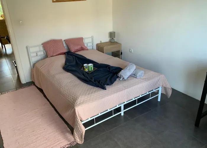 Luminous Apartment In Kehl Near Strasbourg, Conveniently Located Next To A Tram Stop With Direct Access To Strasbourg City Centre