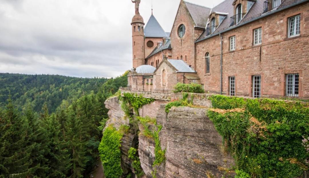 Luminous In Near Strasbourg, Conveniently Located Next To A Tram Stop With Direct Access To Strasbourg Centre Kehl