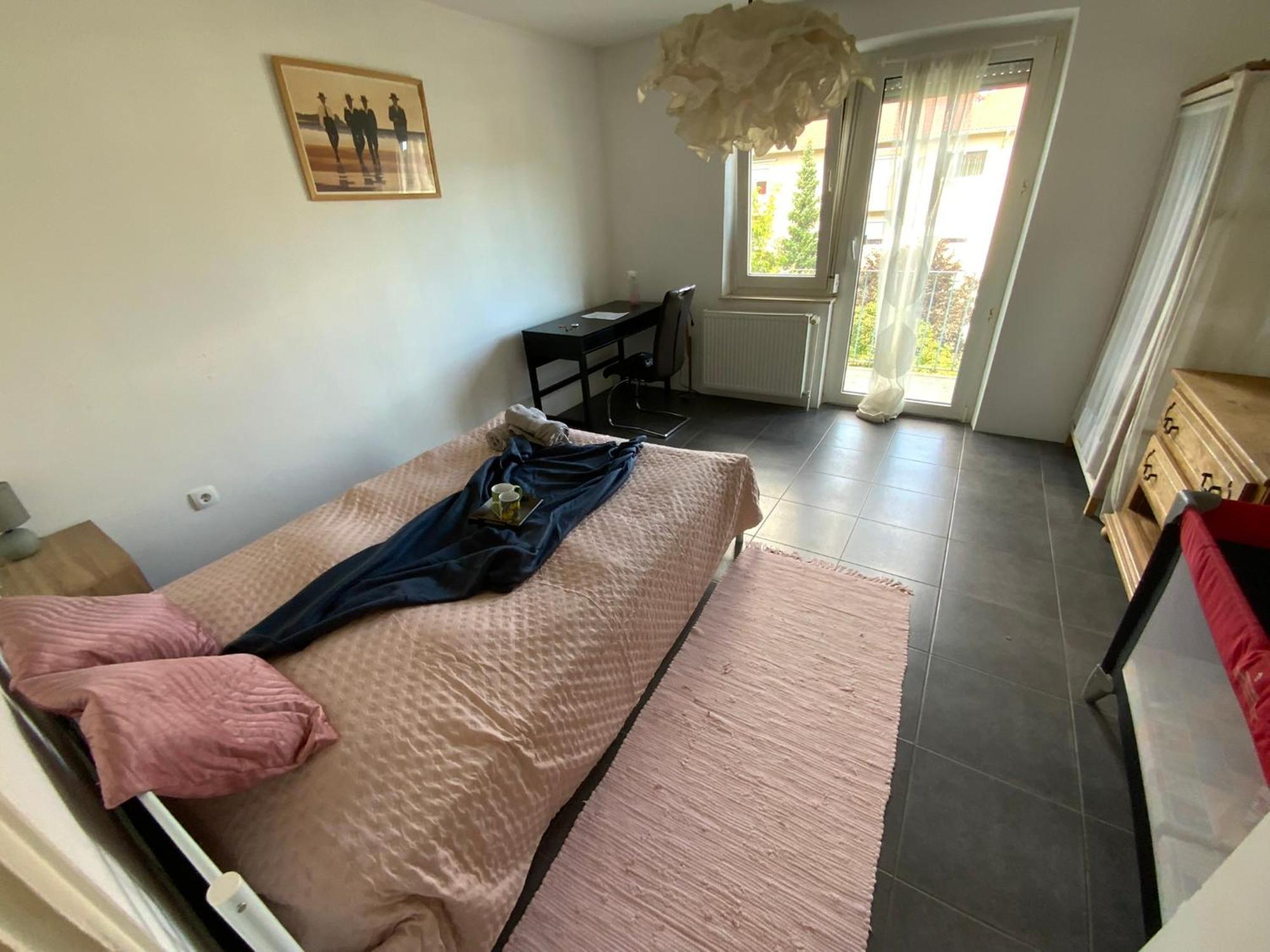 Luminous In Near Strasbourg, Conveniently Located Next To A Tram Stop With Direct Access To Strasbourg Centre Kehl